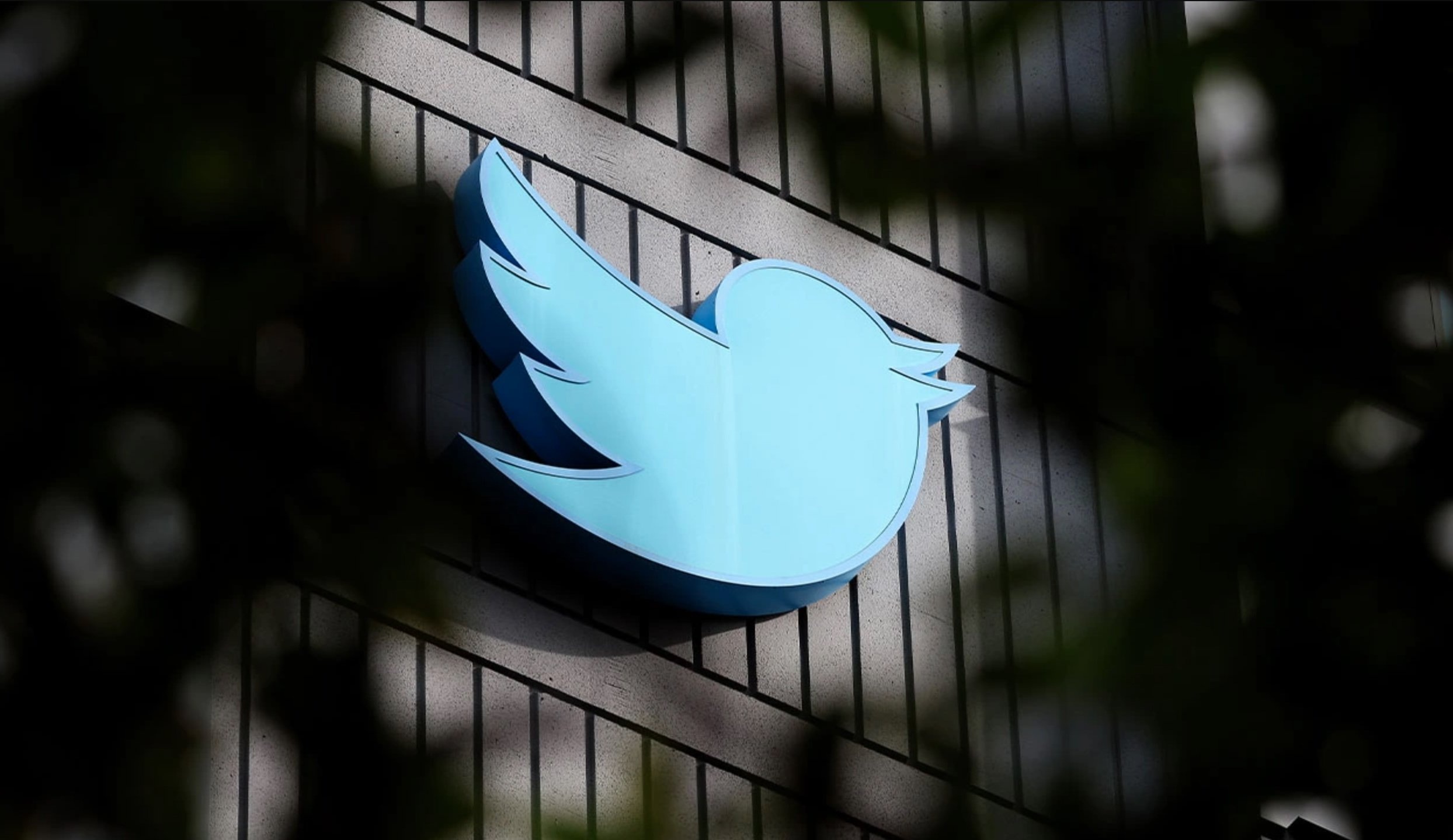 sa thải ở twitter ảnh 1 sa thai o twitter anh 1