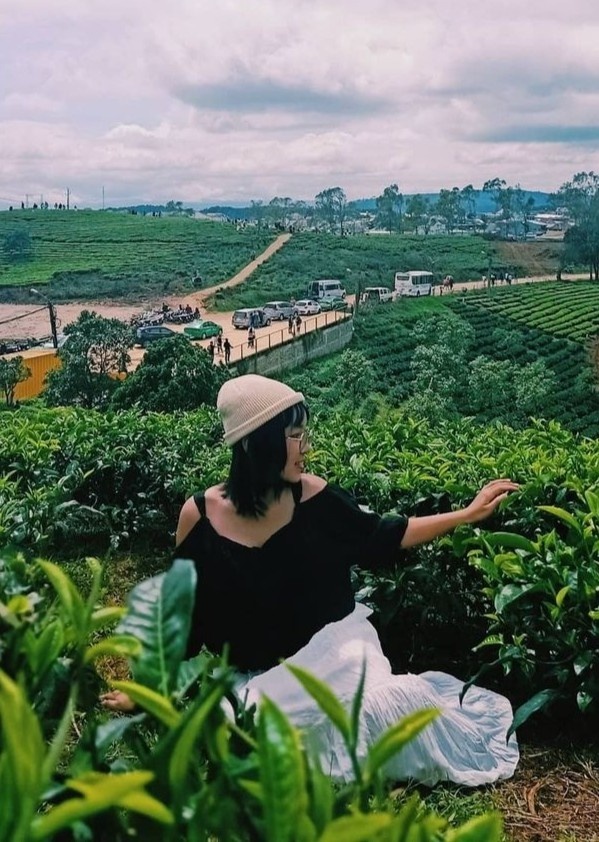 nguoi tre don nam moi anh 4