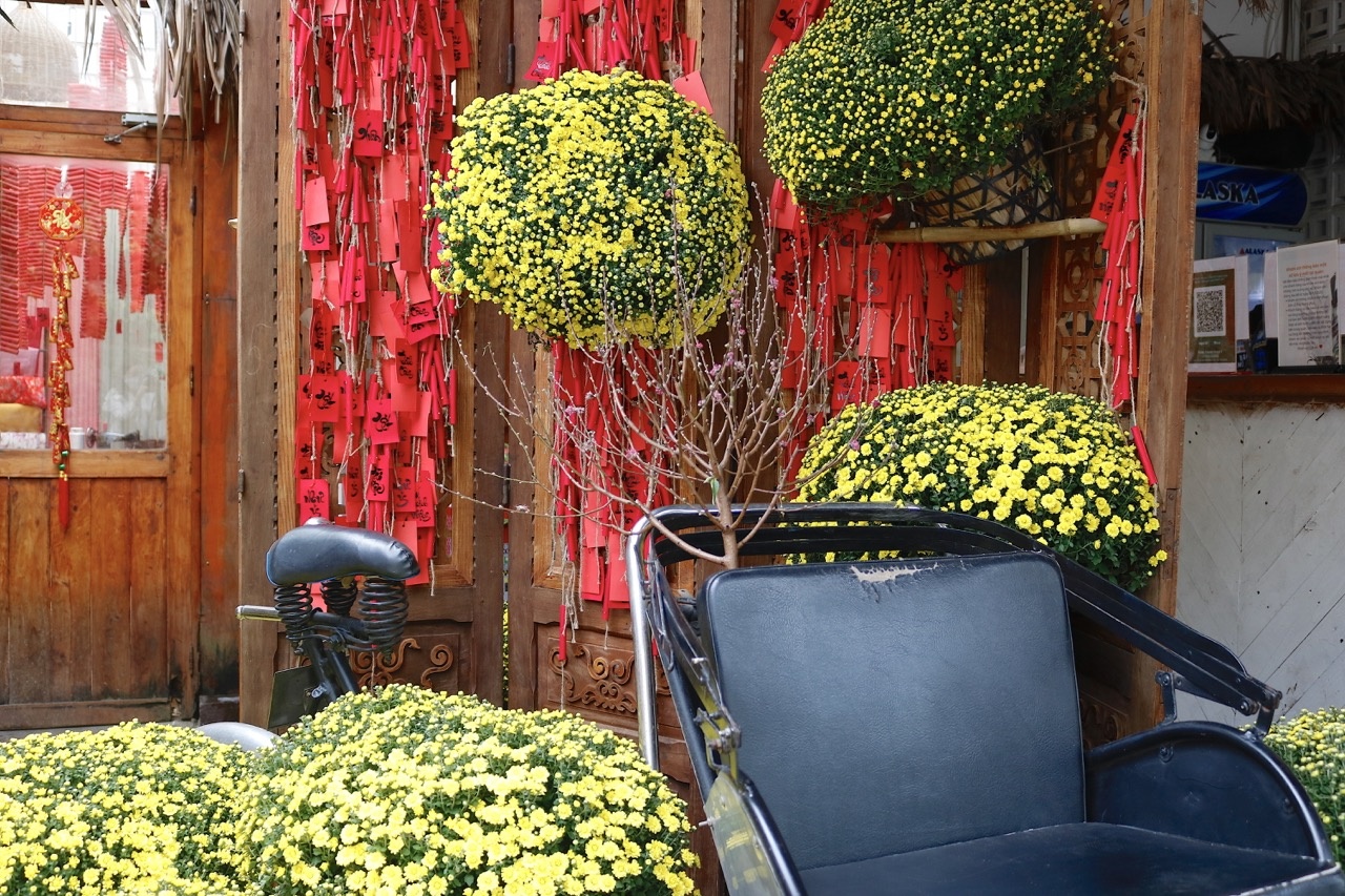 chup anh tet 2023 anh 5