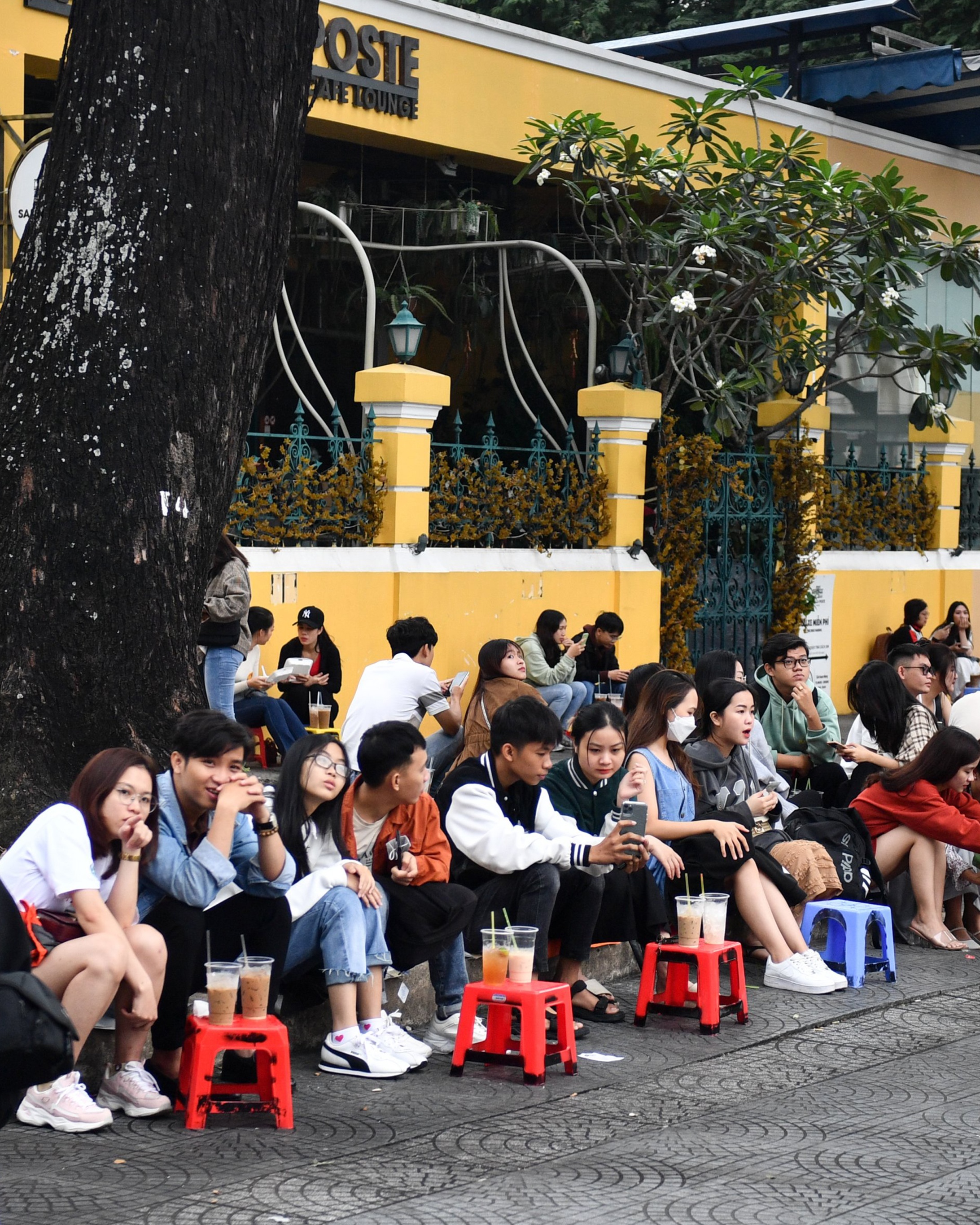 36 gio Tet o TP.HCM anh 2