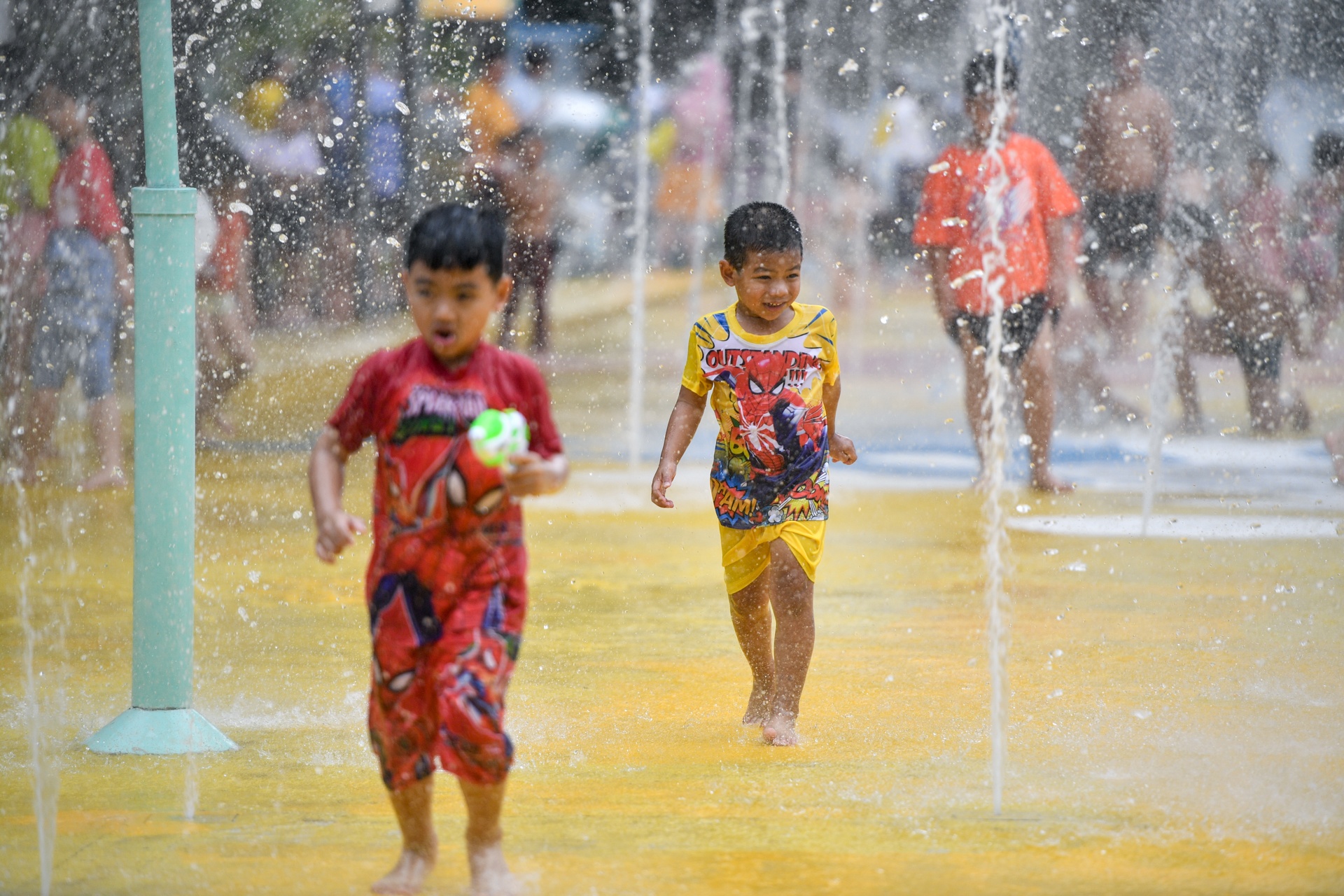 thao cam vien tphcm anh 3