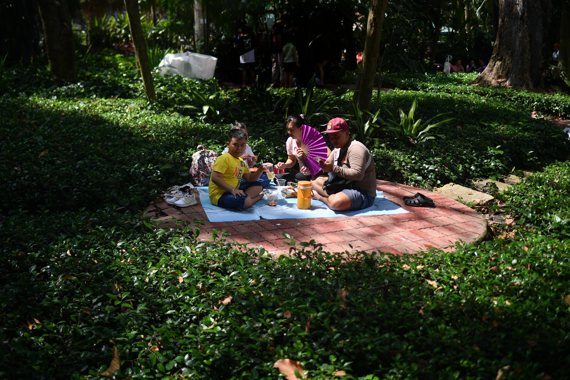 thao cam vien tphcm anh 9