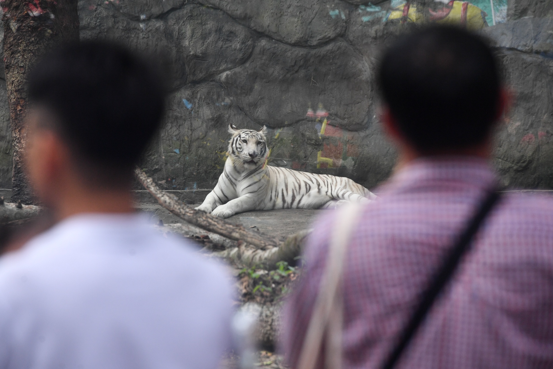 thao cam vien tphcm anh 7