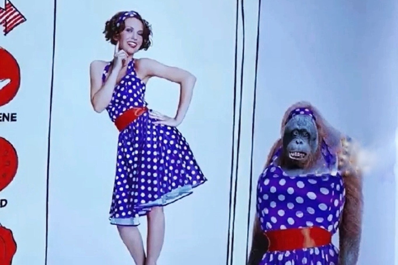 Quang cao so sanh phu nu voi duoi uoi gay phan no o Trung Quoc hinh anh