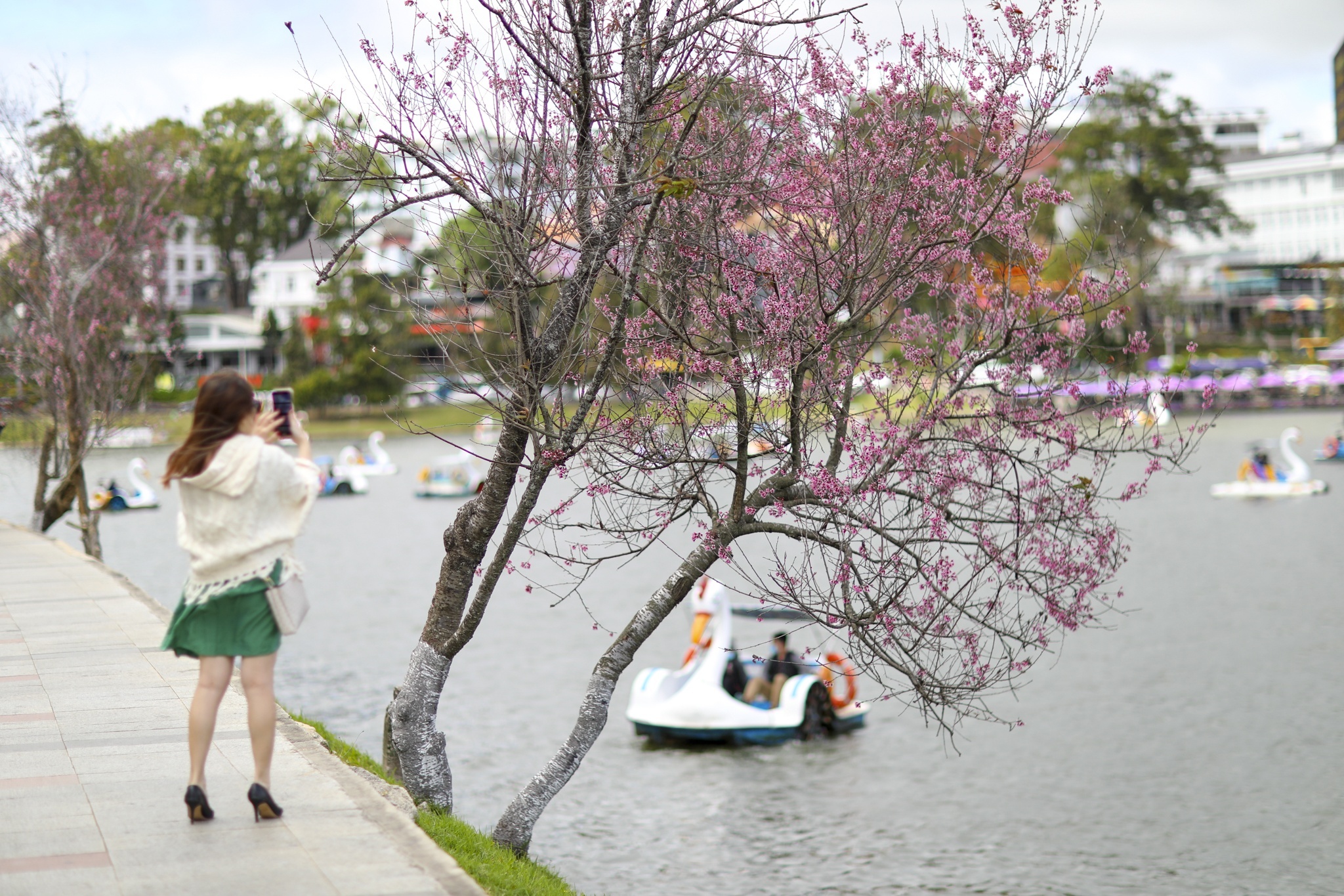 du lich trai mua anh 1