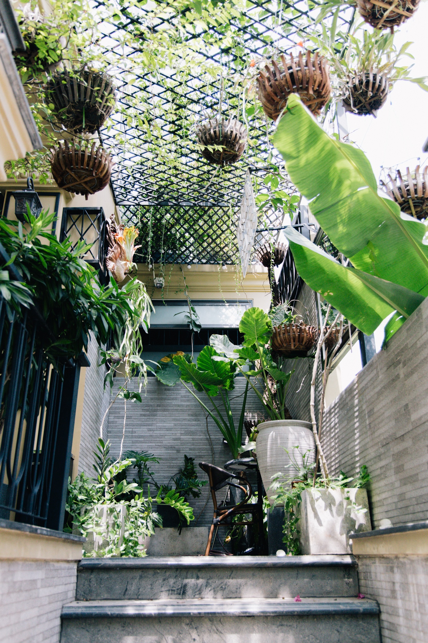 ca phe biet thu tphcm anh 6