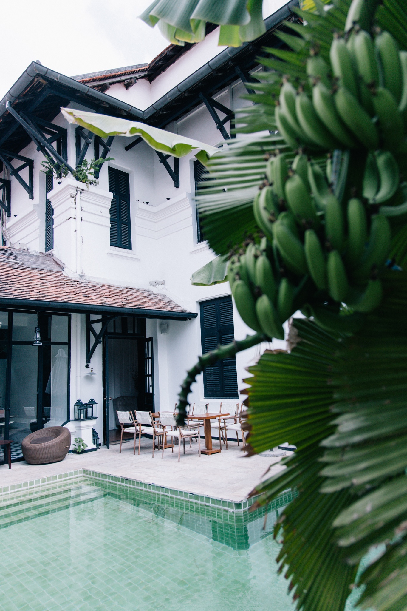 ca phe biet thu tphcm anh 10