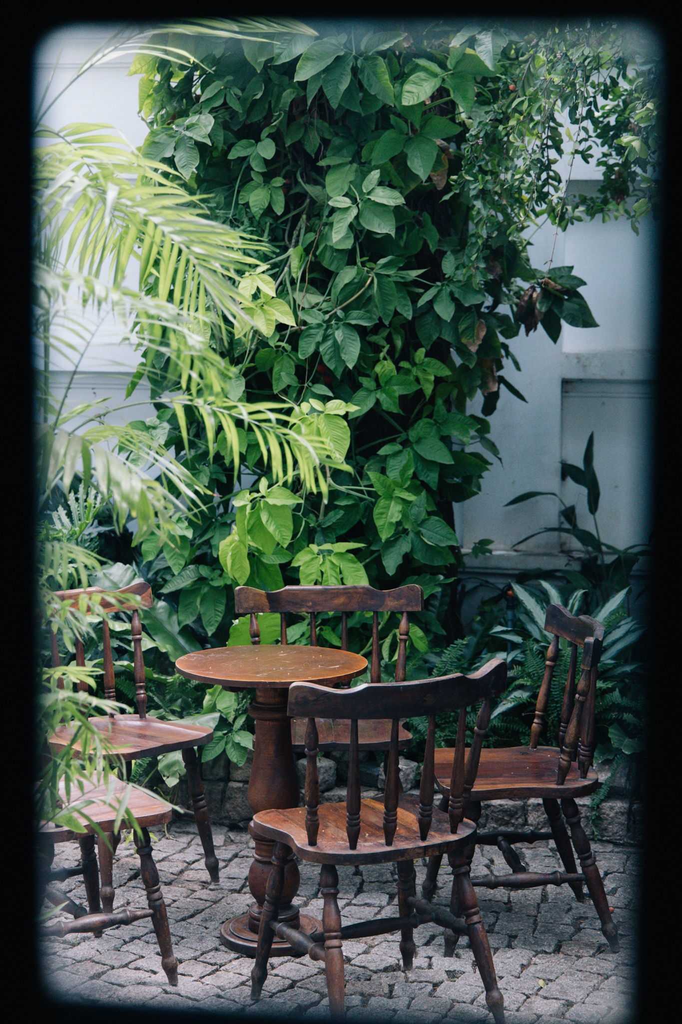 ca phe biet thu tphcm anh 18