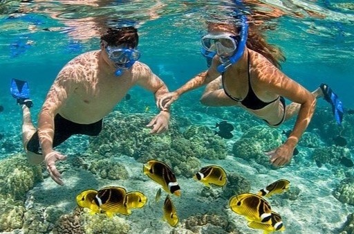 Du khach suyt chet vi bi cong ty du lich bo roi giua bien hinh anh