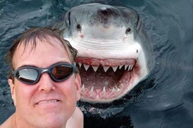 Nhung cai chet vi 'song ao' hinh anh