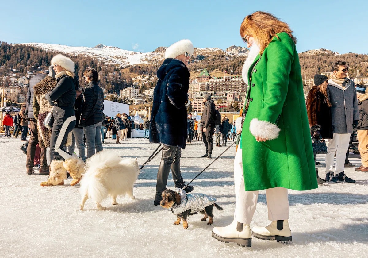 gioi sieu giau dua xe anh 6