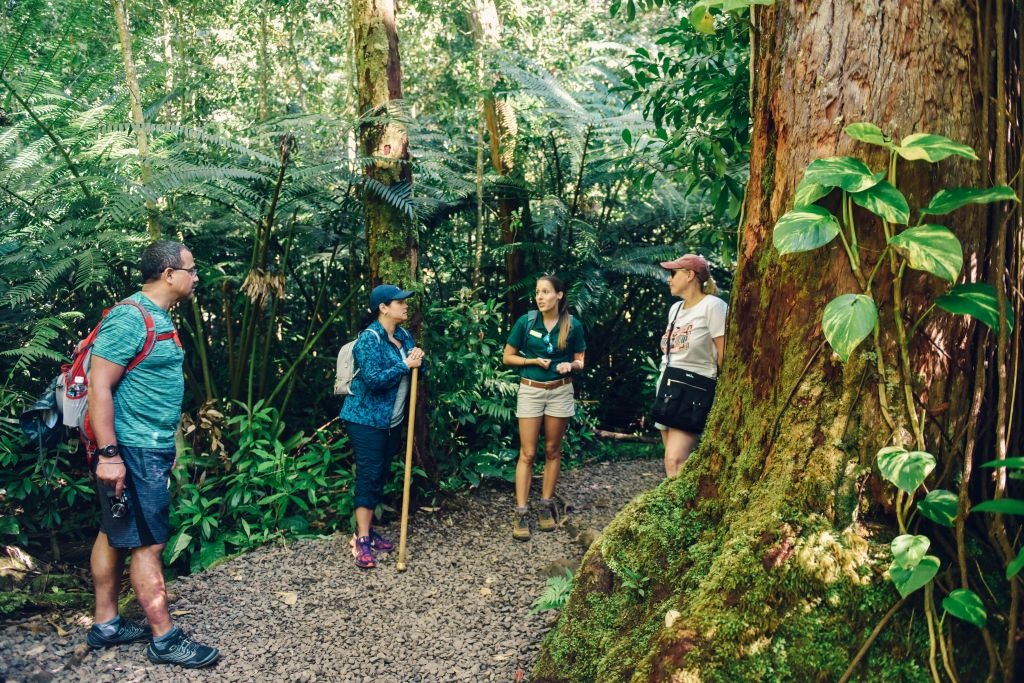 Du lich Hawaii anh 2