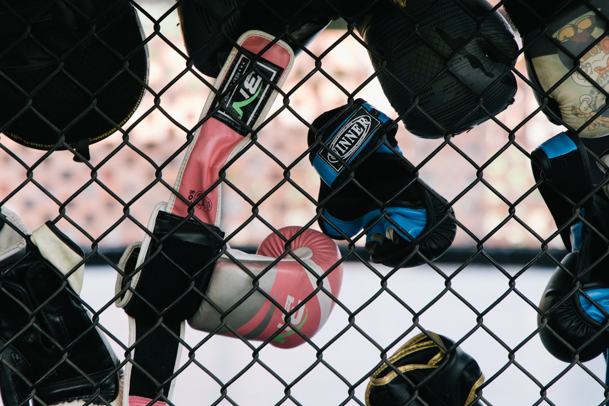 hang quan thao dien anh 11