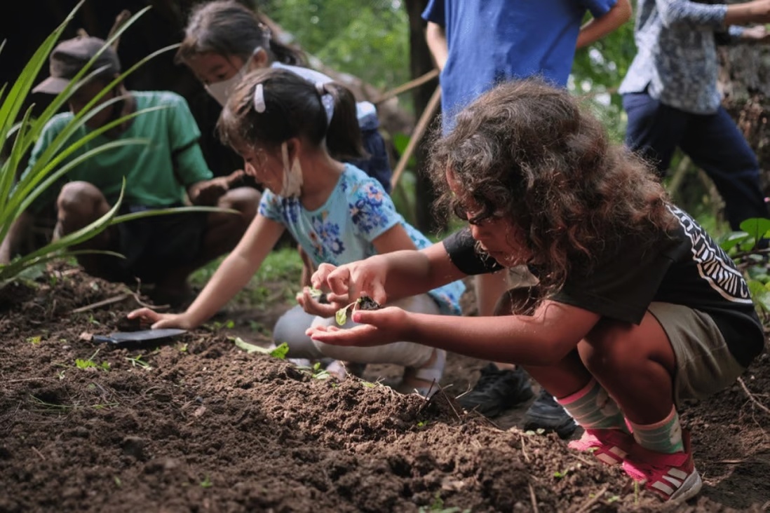 trai he nha giau anh 2