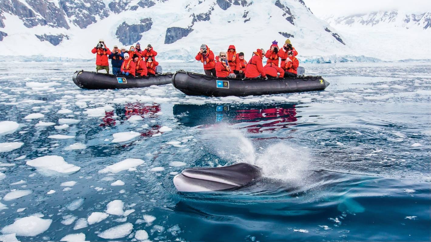 du lich nam cuc anh 1