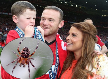 Ba xa Rooney so nhen goa phu den tan cong gia dinh hinh anh