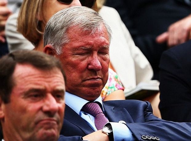 Sir Alex ngu gat tren khan dai Wimbledon hinh anh
