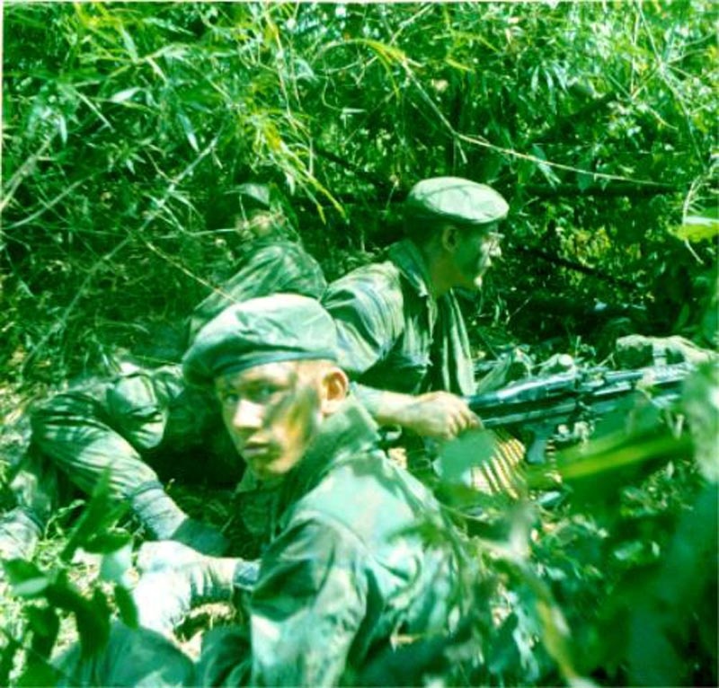 Luc luong 'Mu noi xanh' trong chien tranh o Viet Nam hinh anh
