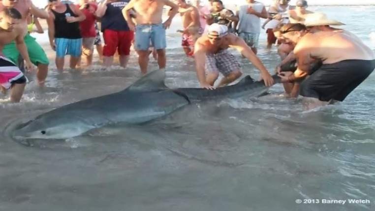 Song chet keo ca map ho 500 kg len bo de... chup anh hinh anh