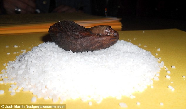 Nuot ngon chan cai, bi phat hon 50 trieu dong hinh anh