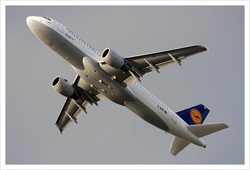 May bay ha canh khan cap vi mui thoi hinh anh