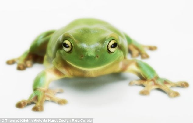 'Phi hanh gia' ech tham hiem mat trang hinh anh