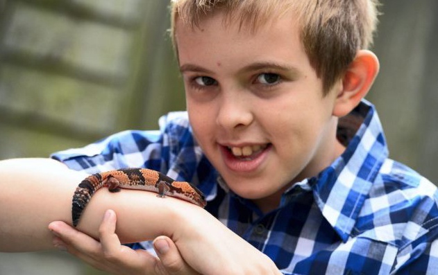 Chua chung tu ky bang tac ke hinh anh