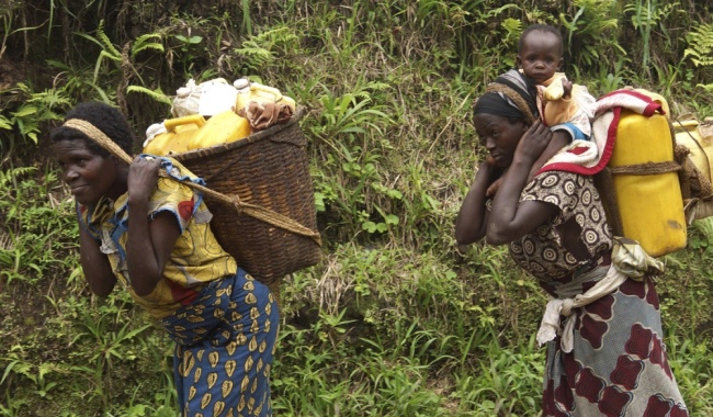 Be so sinh lay benh dai cho bo va anh trai hinh anh