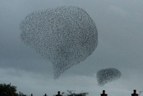Nhung hinh thu khong lo ky la tren troi hinh anh
