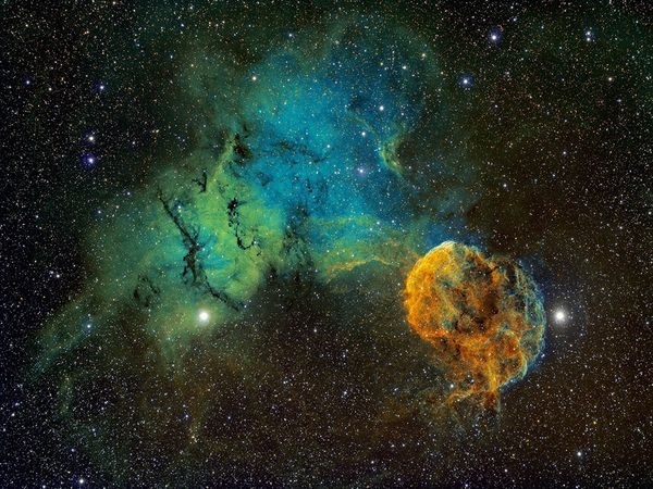 'Con sua khong lo' trong vu tru hinh anh