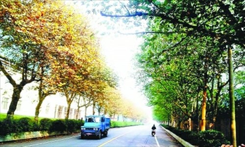 Hang cay hai mua ky la o Trung Quoc hinh anh