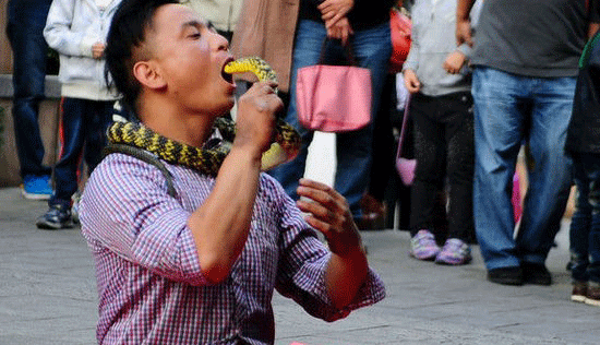 Nuot chung ran song giua pho hinh anh