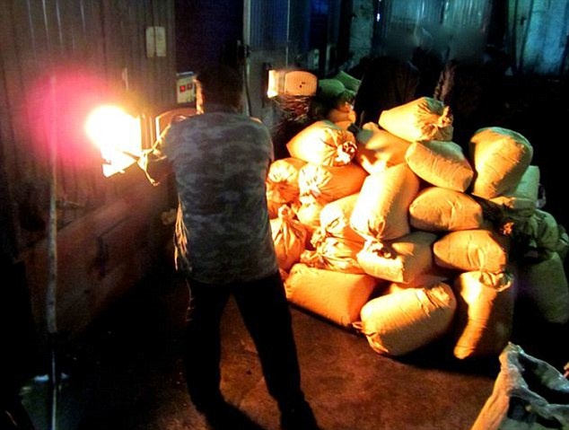 Chinh quyen cho dan dot ma tuy de suoi am hinh anh