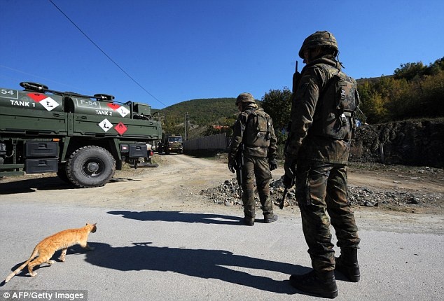 Bac si quan y ra toa vi cuu meo chua hinh anh