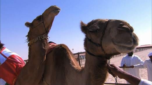 Cuoc thi sieu mau lac da hinh anh