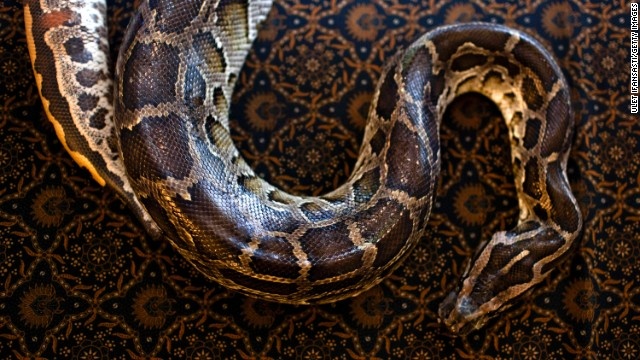 Tran siet chet nguoi truoc cua khach san hinh anh