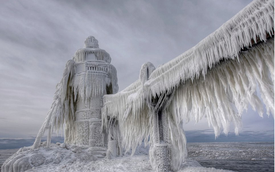 Nhung ngon hai dang ky di vi gia ret hinh anh