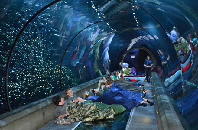 9 cong trinh doc dao duoi nuoc hinh anh