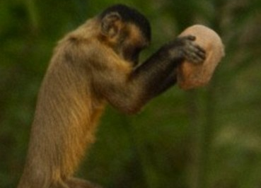 Khi ga tinh bang cach nem da hinh anh