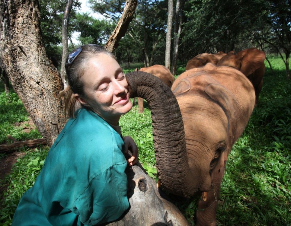 Vi cuu tinh cua nhung con voi chau Phi mo coi hinh anh