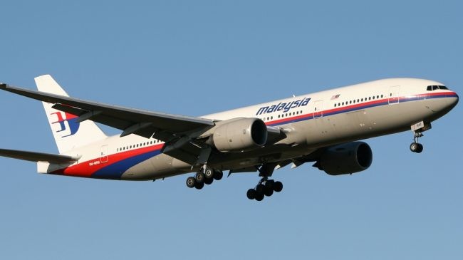 Kinh buong lai cua phi co Malaysia vo vi chim hinh anh