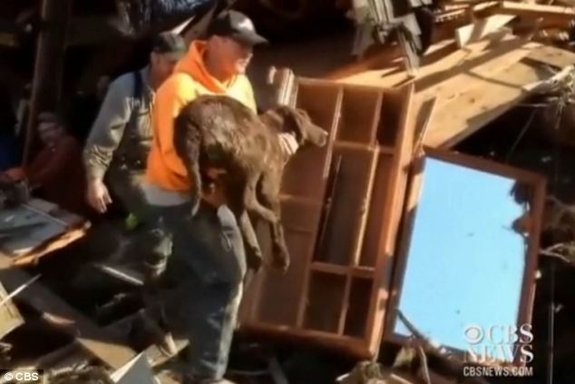 Cho song sot ky dieu sau vu lo dat tai My hinh anh