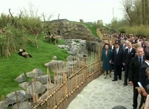 Chu tich Trung Quoc tham gau truc o Bi hinh anh