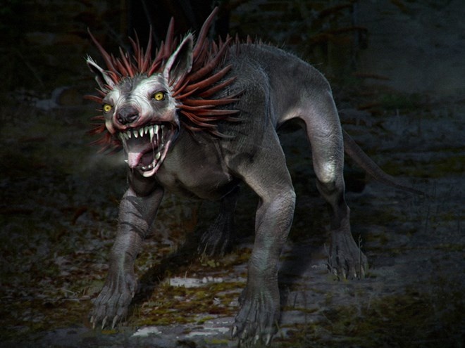 Su that ve sinh vat hut mau trong truyen thuyet o Texas hinh anh