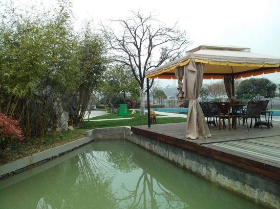 Tổng cộng 21 bữa tiệc đã tổ chức tại đây trong năm 2013, theo một báo cáo trên Nhật báo Chiết Giang.