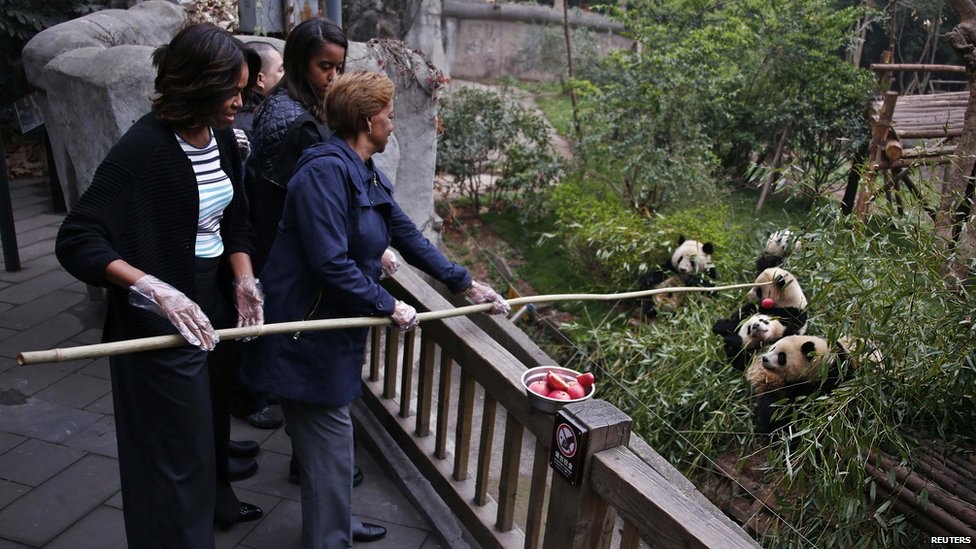 Phu nhân Tổng thống Michelle Obama cho gấu trúc ăn trong chuyến thăm Trung Quốc