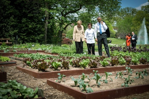 Thủ tướng Đức Merkel và Tổng thống Obama đi thăm vườn rau tại Nhà Trắng hôm 2/5. Ảnh: 