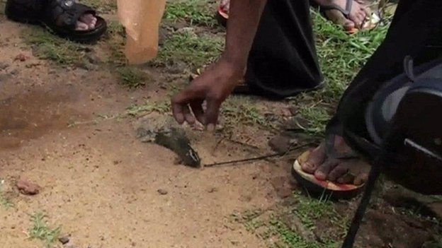 Mua ca xuat hien tai Sri Lanka hinh anh