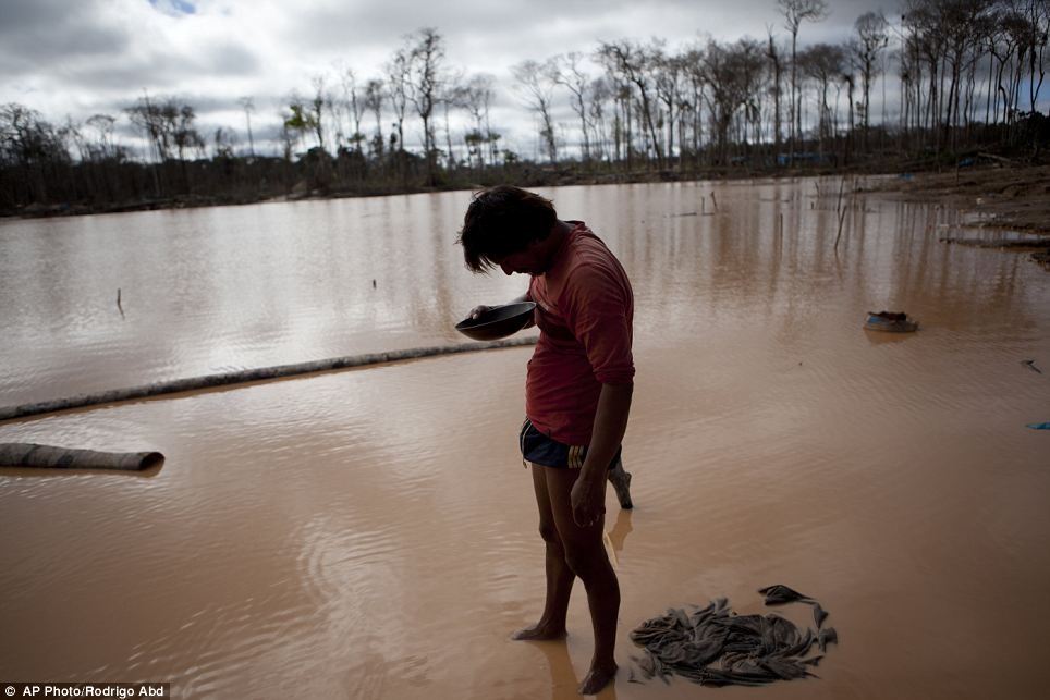 Cuoc song trong bai vang khong lo o Nam My hinh anh