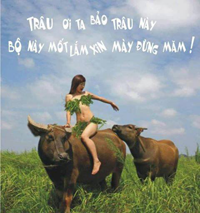 Anh che vui ngay nong hinh anh